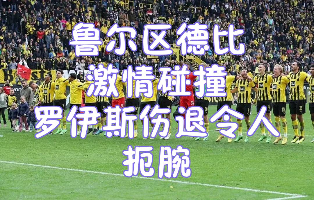 经验与勇气作文800字议论文